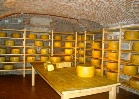 Turin_cheese